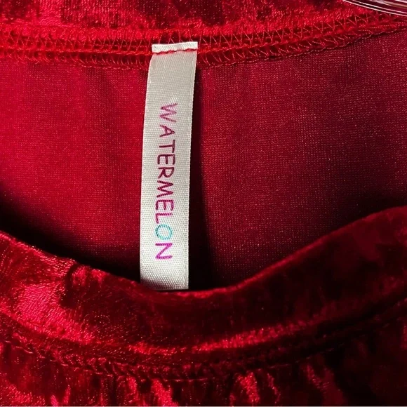 Watermelon | Vtg Crimson Red Crushed Velvet Sleeveless Top, Medium - Picture 5 of 6
